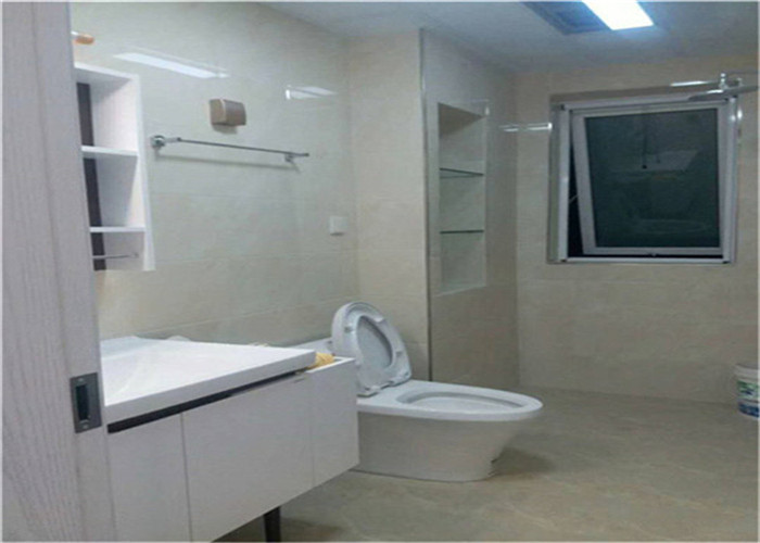 白桦林明天 案例实景展示